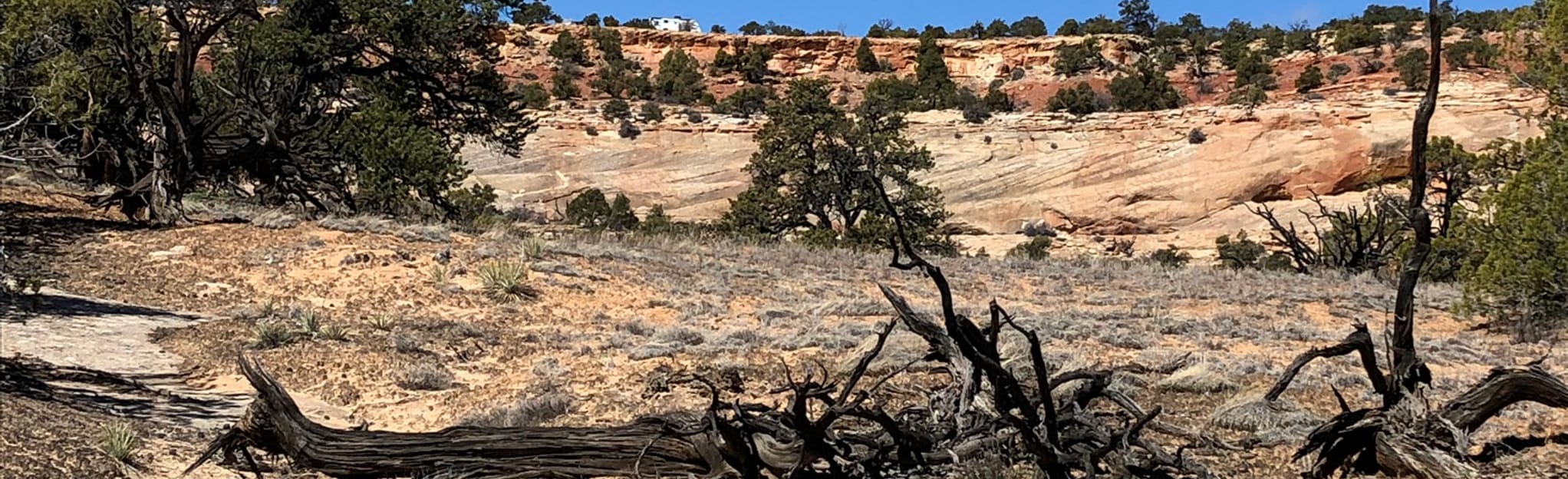 Phipps Arch from Spencer Flats Campground 16 Reviews, Map Utah