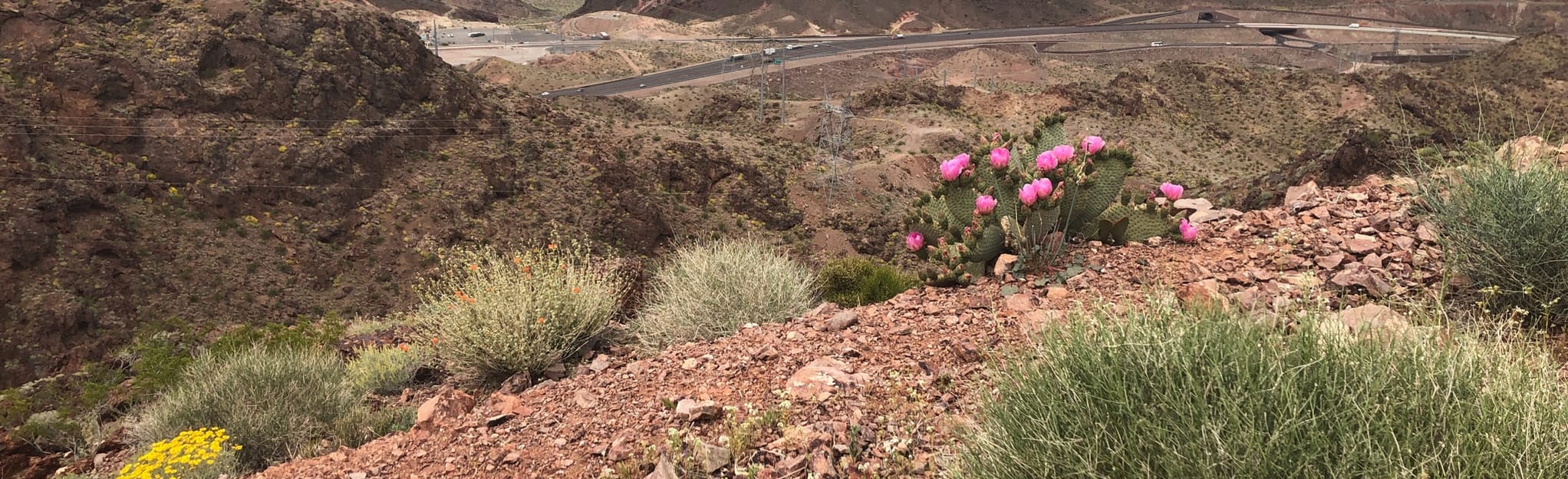 Black Canyon Overlook, Nevada 33 Reviews, Map AllTrails