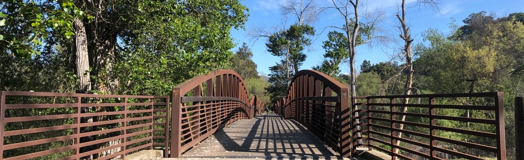 Clôture de bois long et pont dans la forêt le long d'un sentier de