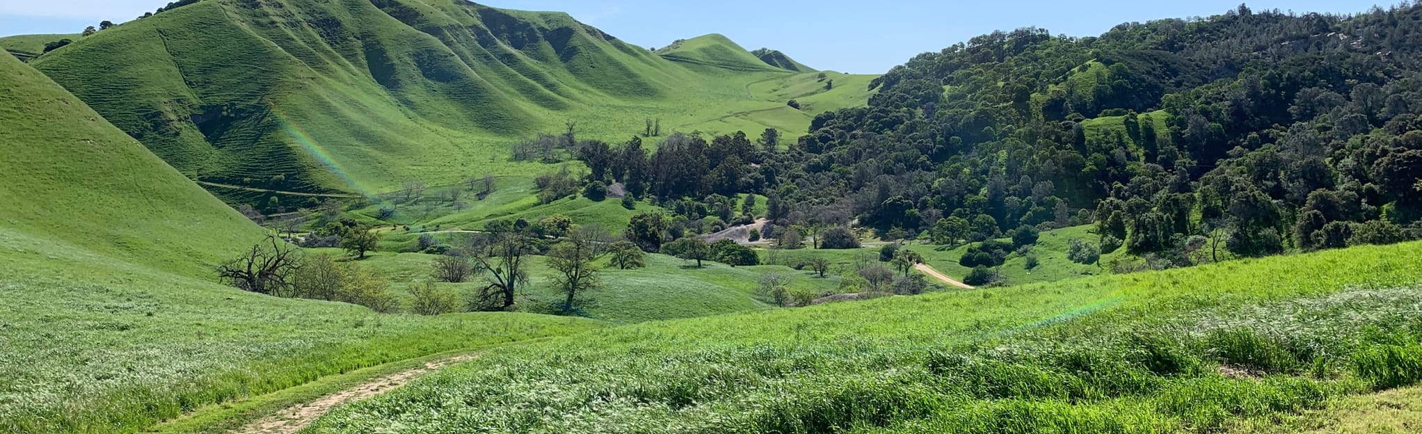 Nortonville, Black Diamond and Manhattan Canyon Trail Loop, California