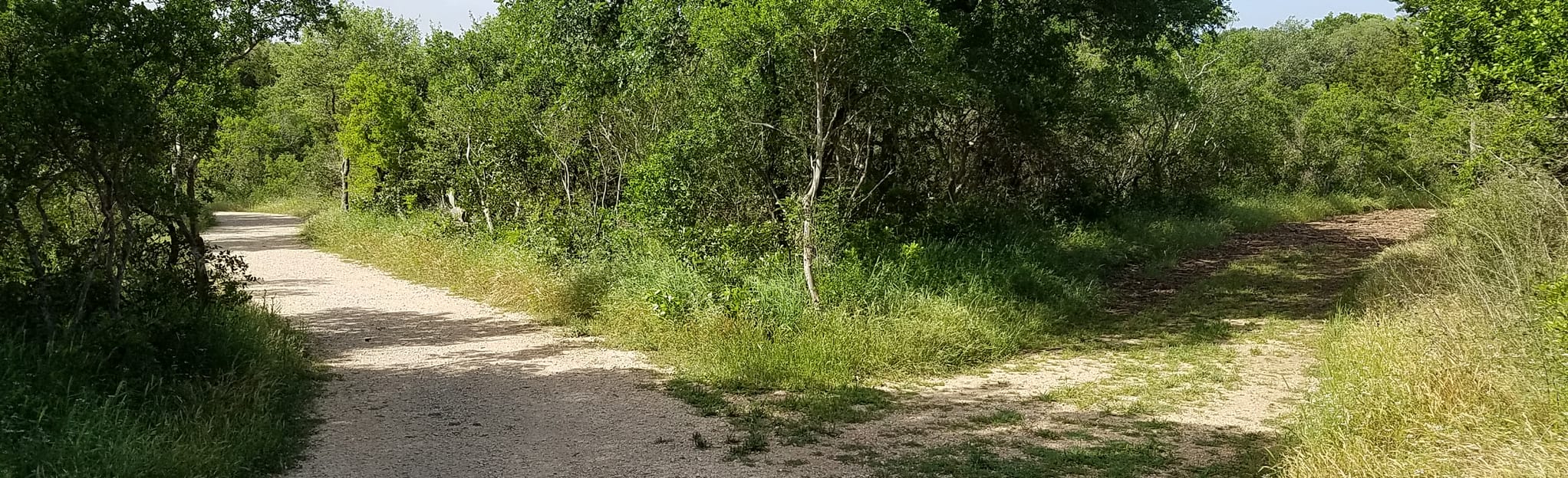 Tonkawa, Buckeye and Roadrunner Loop 304 Reviews, Map Texas AllTrails