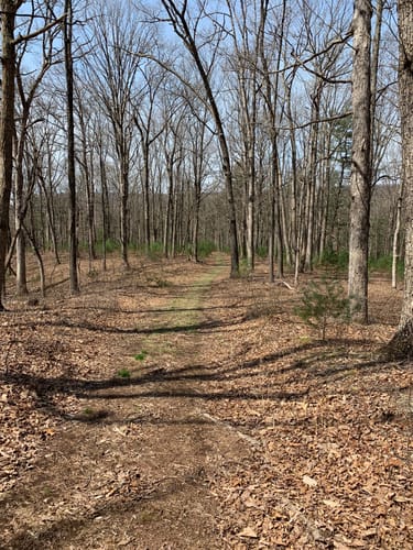 Escape To The Wilderness: Maryland’s Hidden Gem, Woodmont Natural Resources Management Area