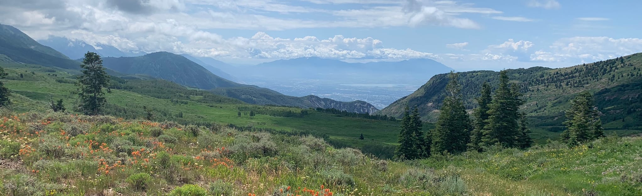 Mahogany Mountain North Peak Trail, Utah 68 Reviews, Map AllTrails