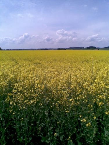 Pucher Meer Rundwanderung