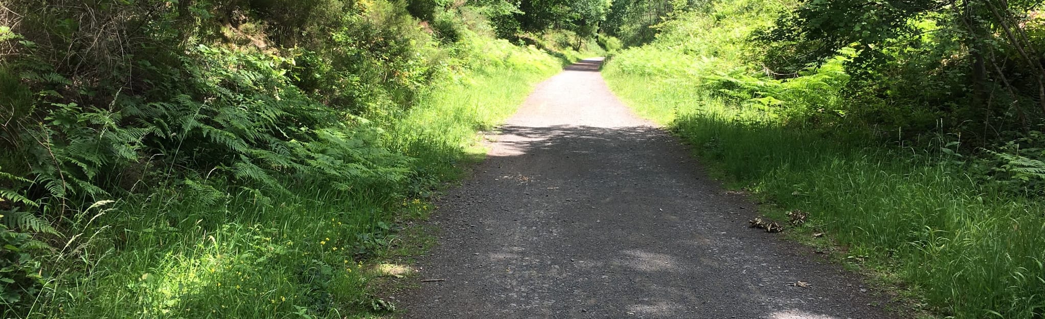 Wyre Forest to Bewdley, Worcestershire, England 18 Reviews, Map AllTrails