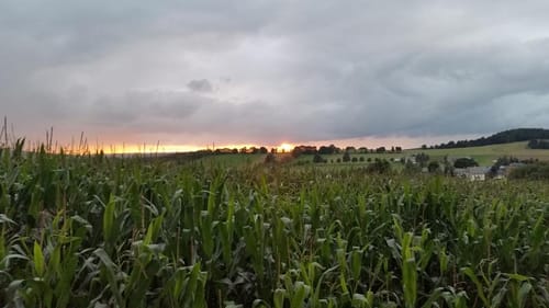 Seiffen Erzgebirge Grenztour