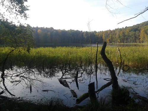 58. Flecken Zechlin MTB Tour