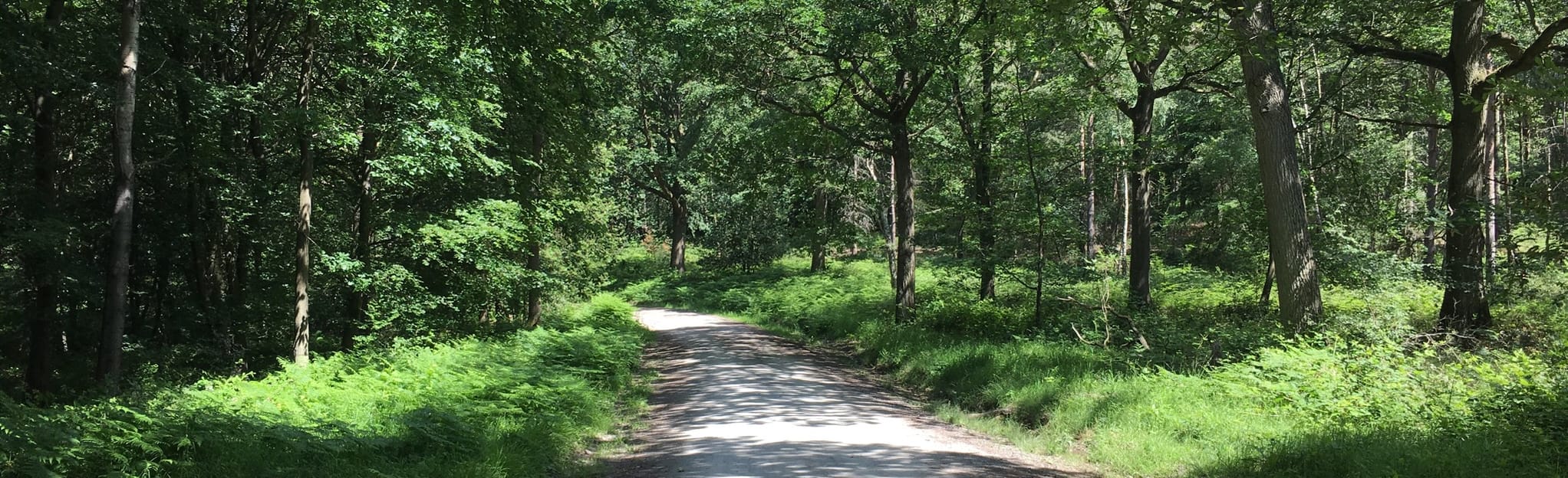 Wyre Forest and Long Bank Circular Mappa, Guida Worcestershire