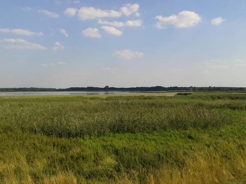 Von Netzen aus um den Rietzer See
