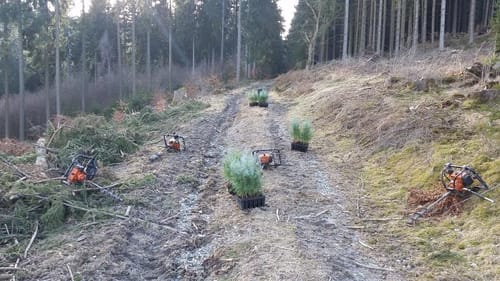 Hallenberg Rundwanderweg