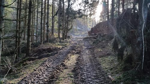 Hallenberg Rundwanderweg