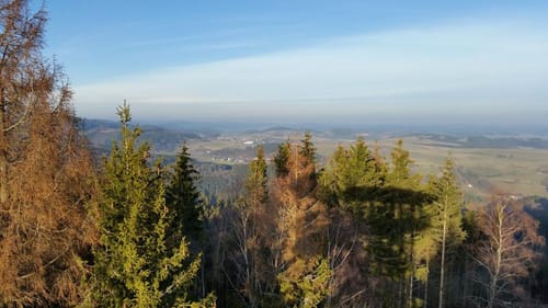 Hallenberg Rundwanderweg