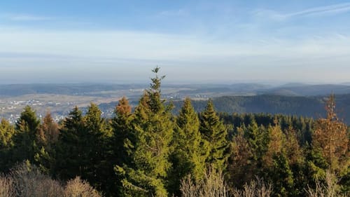 Hallenberg Rundwanderweg
