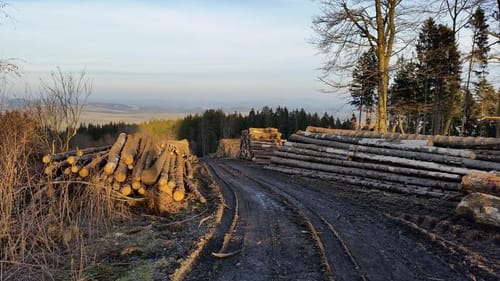Hallenberg Rundwanderweg