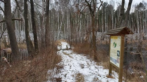 Byhlen Seen Tour im Leichhardtland