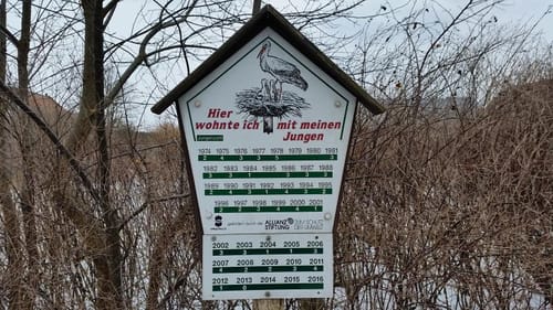 Byhlen Seen Tour im Leichhardtland