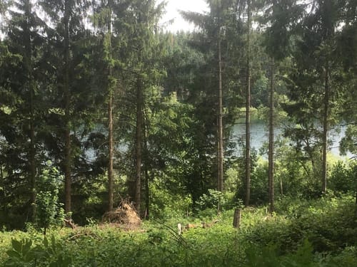 Talsperre Lichtenberg