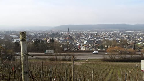Von Longuich zur Weinbergschleife