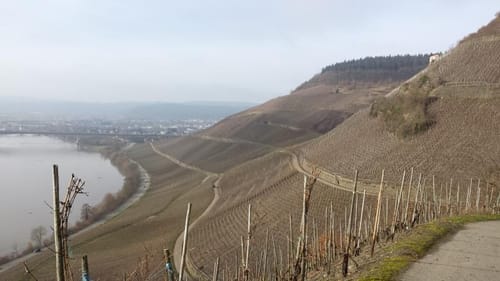 Von Longuich zur Weinbergschleife