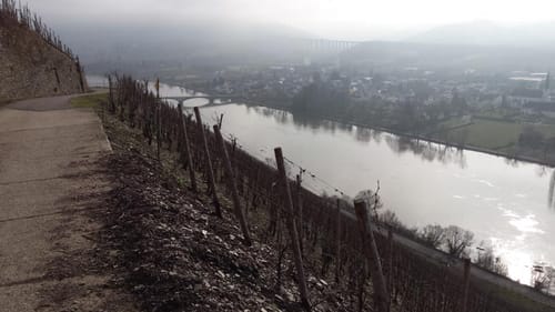 Von Longuich zur Weinbergschleife