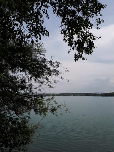 Um den Singliser See