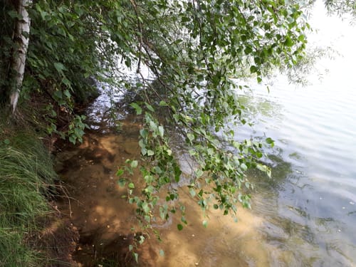 Um den Singliser See