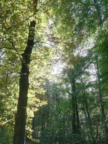 Rheurdt Südschleife