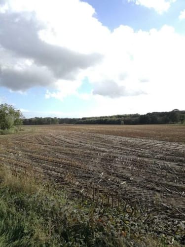 Rheurdt Südschleife