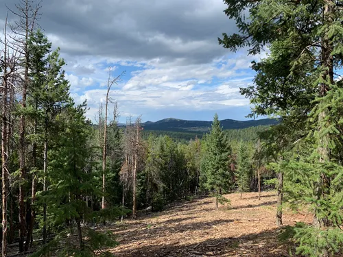 Best Hikes and Trails in Flying J Ranch Park | AllTrails