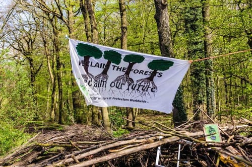 Hambacher-Forst
