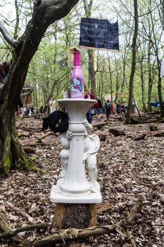 Hambacher-Forst