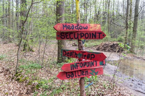 Hambacher-Forst