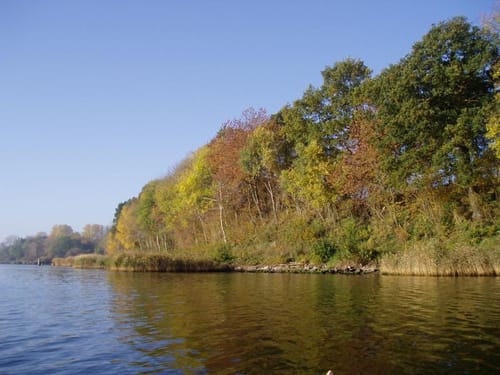 Paddeltour: Um die Rader Insel
