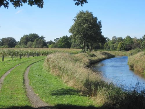 Wardenburger Wanderweg Nr. 3: Durch das Lethetal