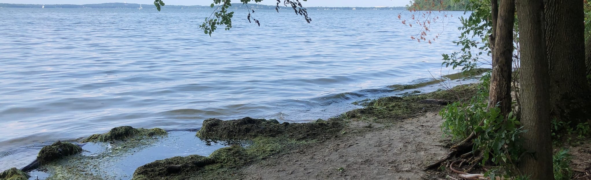 Picnic Point Marsh Loop Trail 560 Reviews, Map Wisconsin AllTrails