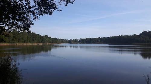 Von Henzendorf zum Göhlensee