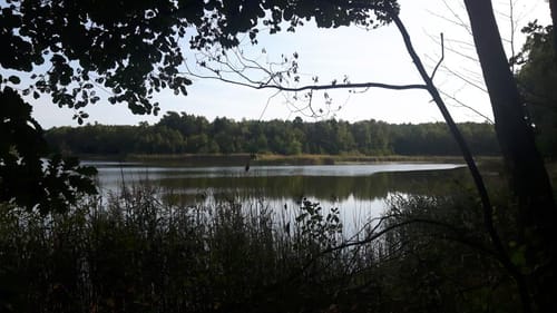 Von Henzendorf zum Göhlensee