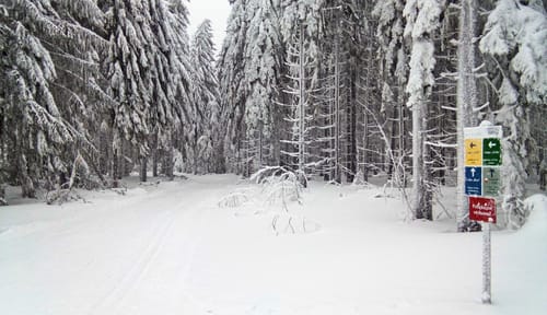 Langlaufzentrum Lohberg