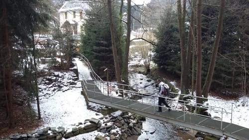 36. Auer Schneekristall