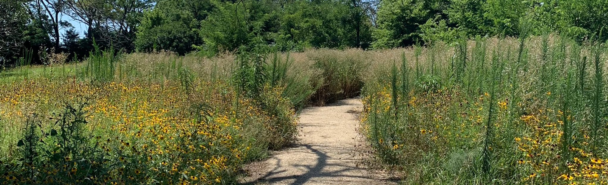 Indian Rock Trail 137 Reviews, Map Kansas AllTrails