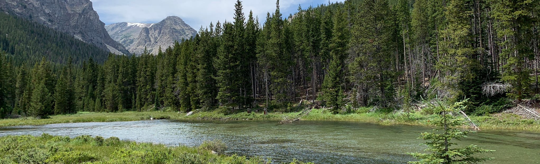 Keyser Brown Lake, Montana 71 Reviews, Map AllTrails