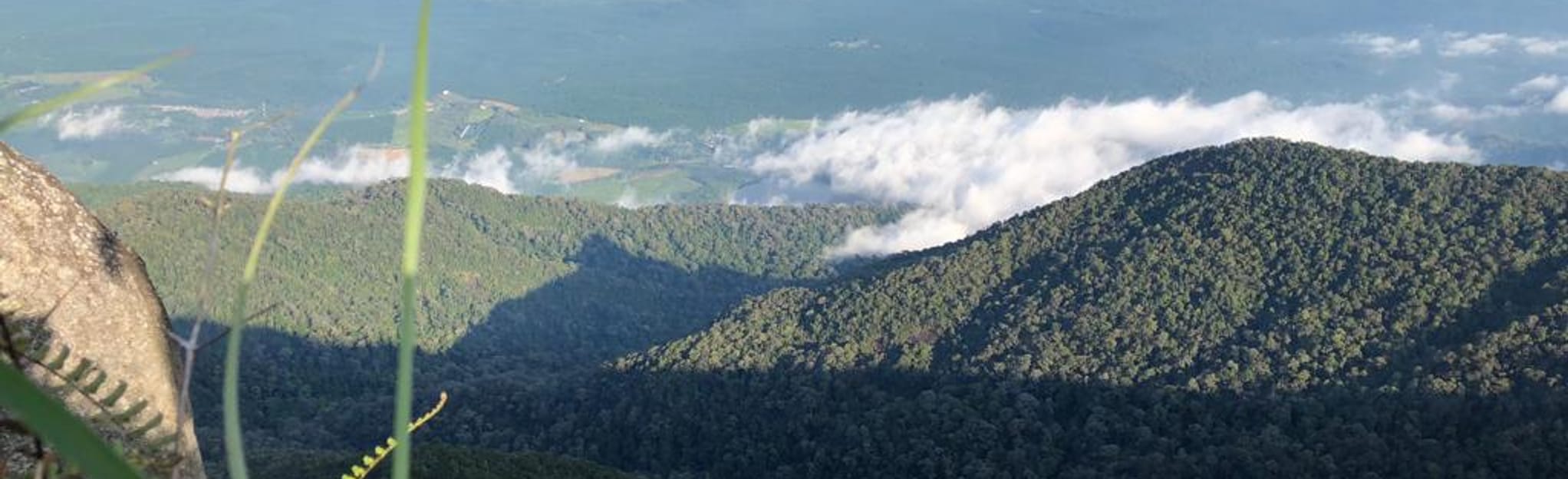 Gunung Ledang via Asahan Trail - Malacca, Malaysia | AllTrails