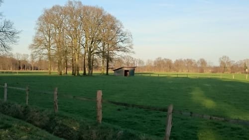 Wabe 42 Ladbergen