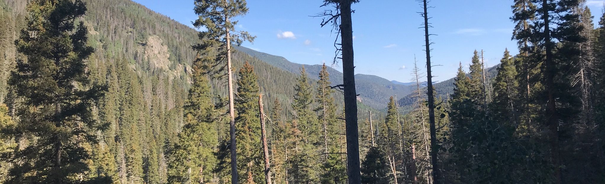 Sawmill Park Trail 30 Reviews - EyJidWNrZXQiOiJhc3NldHMuYWxsdHJhaWxzLmNvbSIsImtleSI6InVwbG9hZHMvcGhvdG8vaW1hZ2UvMjM0NTc2ODUvNWQyM2E4NDY2OTQ2OGNhOWNjODMwMjFkNTA4MDNmN2IuanBnIiwiZWRpdHMiOnsidG9Gb3JtYXQiOiJqcGVnIiwicmVzaXplIjp7IndpZHRoIjoyMDQ0LCJoZWlnaHQiOjYyNCwiZml0IjoiY292ZXIifSwicm90YXRlIjpudWxsLCJqcGVnIjp7InRyZWxsaXNRdWFudGlzYXRpb24iOnRydWUsIm92ZXJzaG9vdERlcmluZ2luZyI6dHJ1ZSwib3B0aW1pc2VTY2FucyI6dHJ1ZSwicXVhbnRpc2F0aW9uVGFibGUiOjN9fX0=