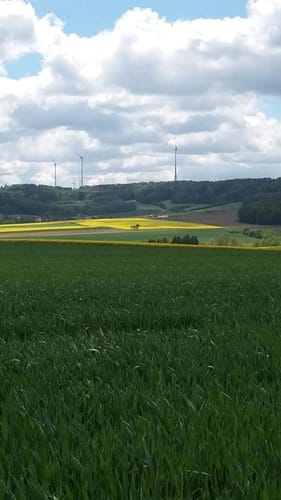 Wanderweg Pleinfeld Nr. 77 