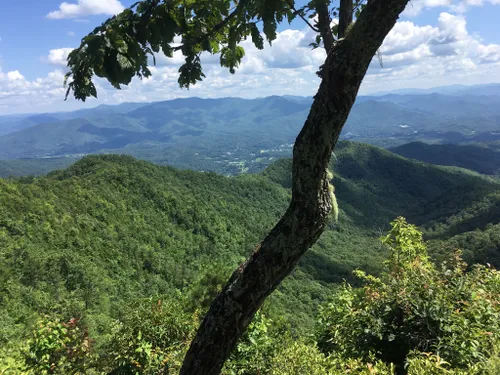 10 Best Trails and Hikes in Bryson City