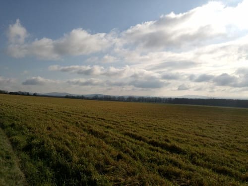 Förstgen - Groß Radisch - Steinölsa