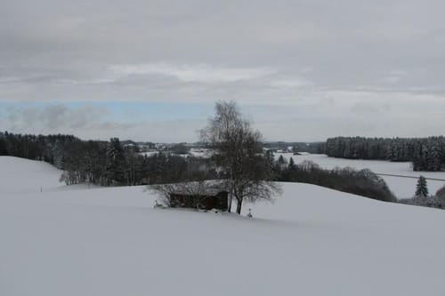 Schneeschuhwanderung Kofeld-Waldburg-Kofeld