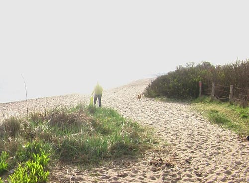 Runde am Strand bei Hohenfelde