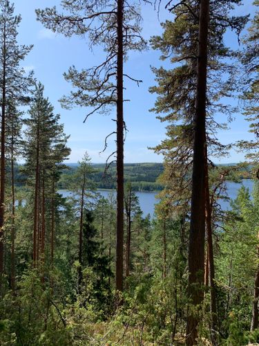 Photos of Vaarunvuoren Luontopolku - Central Finland, Finland | AllTrails